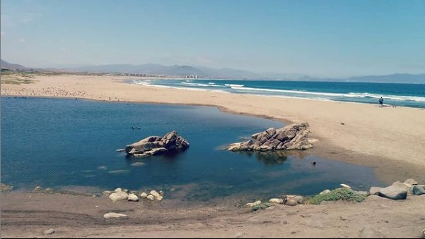 Humedal Punta Teatinos